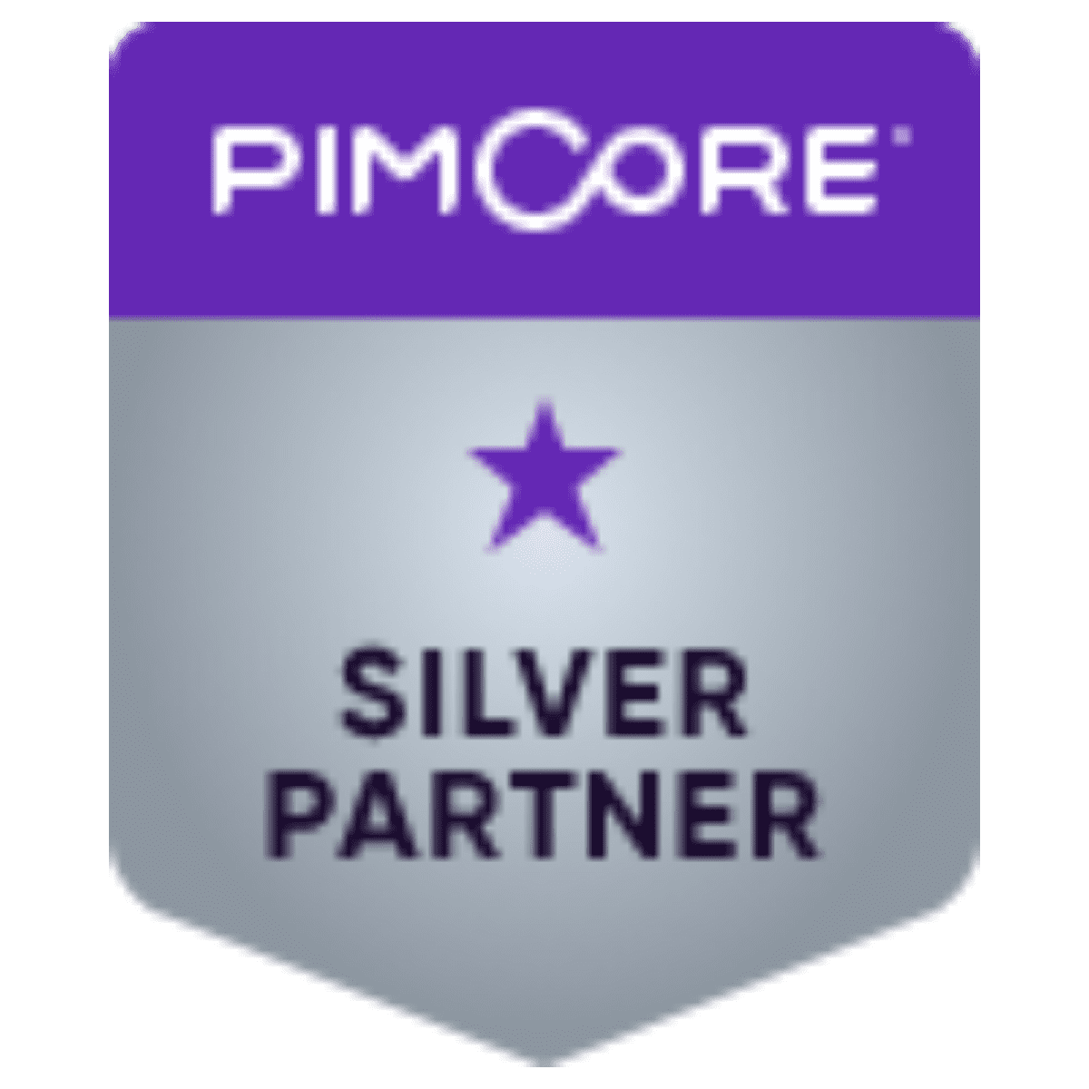 Pimcore Silver Partner Schweiz